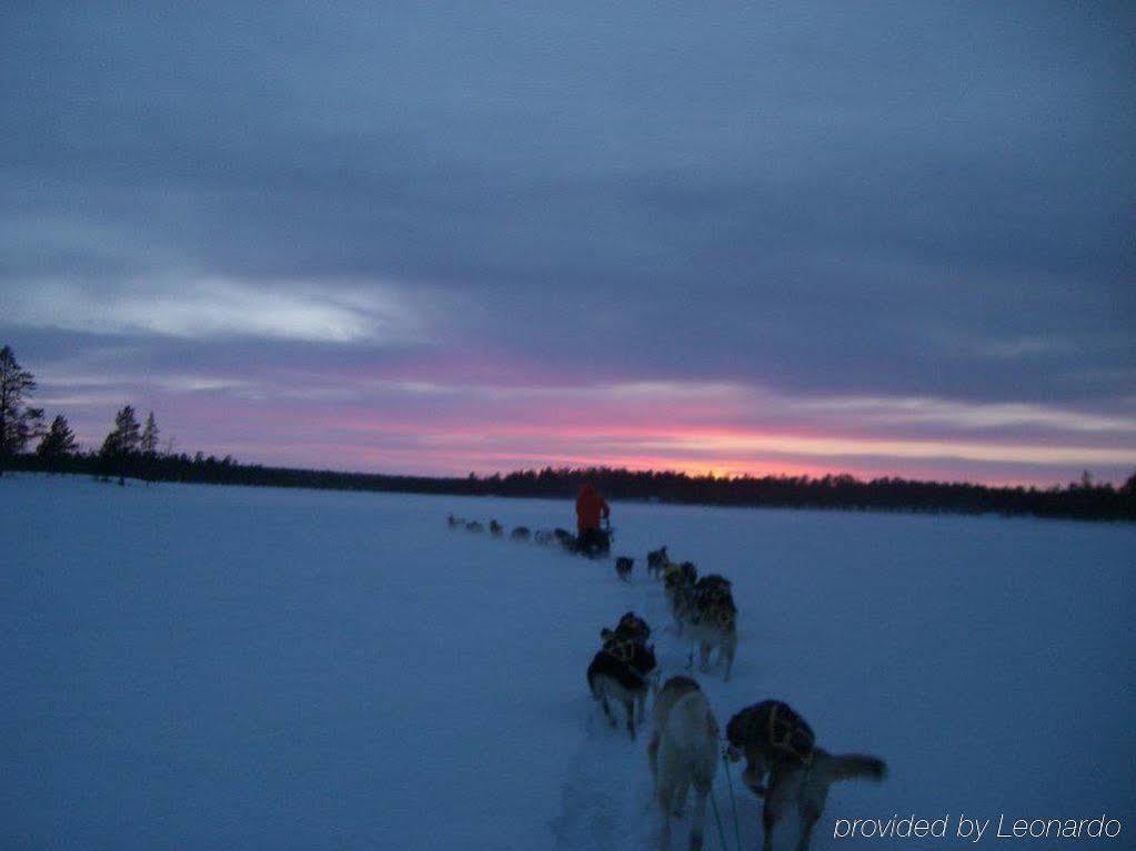 Sollia Lodge Kirkenes Dış mekan fotoğraf